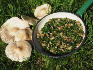 MAJNIŠKA LEPOGLAVKA S SLANUŠAMI IN ČEMAŽEM